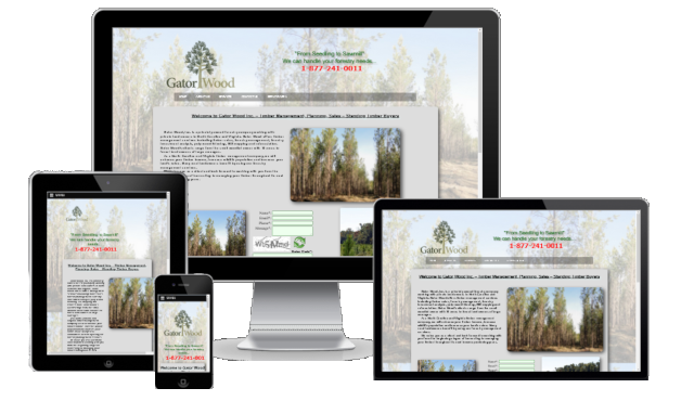 Responsive Website Design in Wilson NC